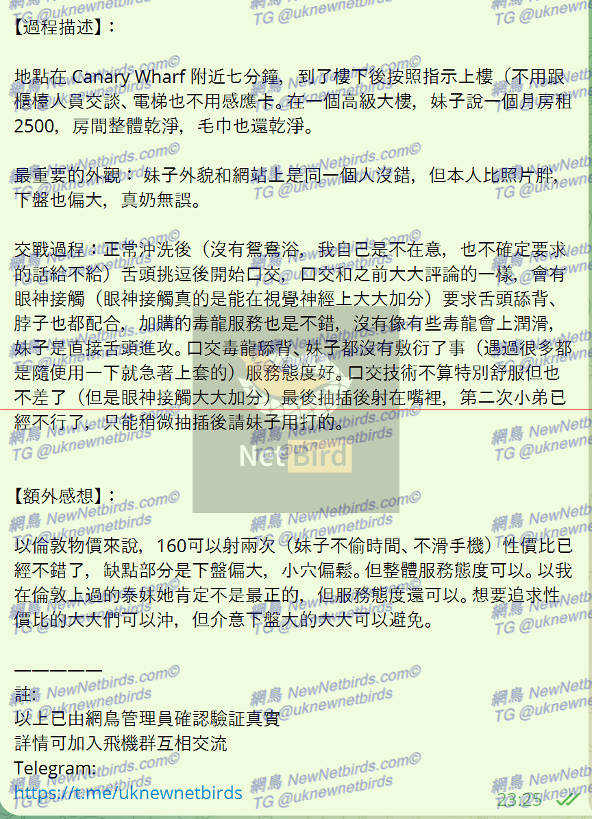 戰號 213 2.png